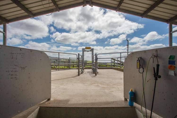 1259 Piakonui Road Matamata_8