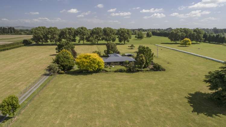 1258 Kaipaki Road Cambridge_11