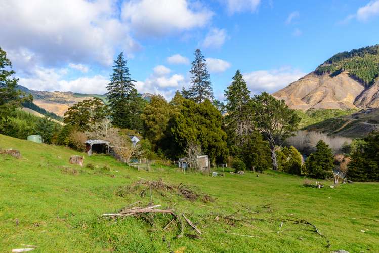 233 Wakamarina Road Havelock_17