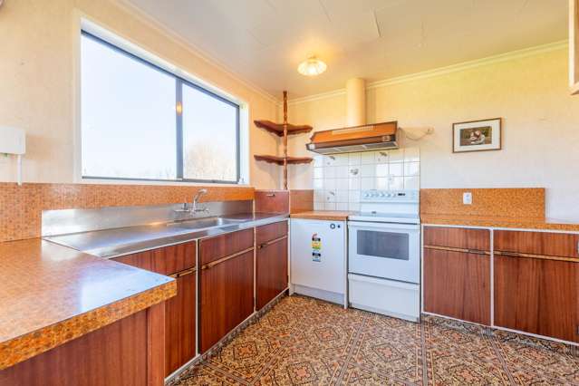 22 North Town Belt Temuka_3