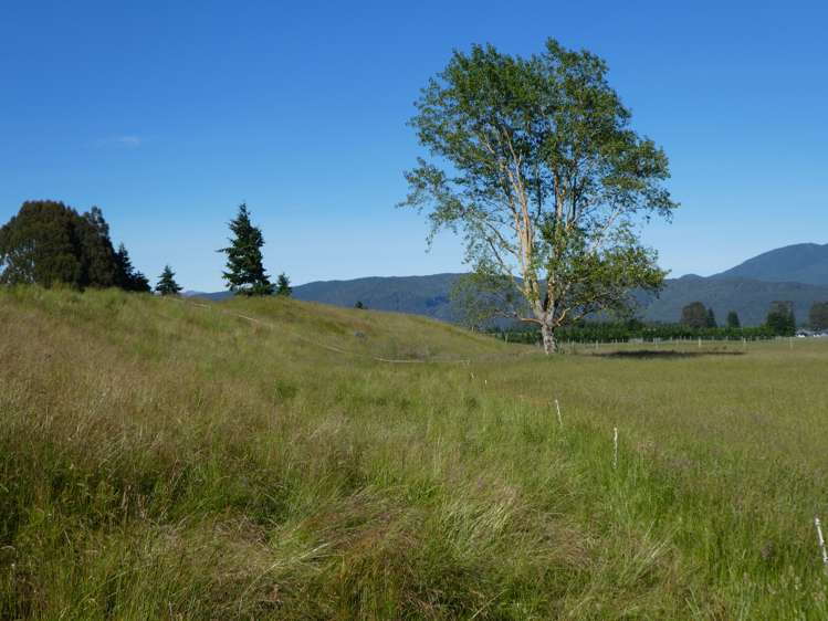 52 Black Lane Te Anau_3