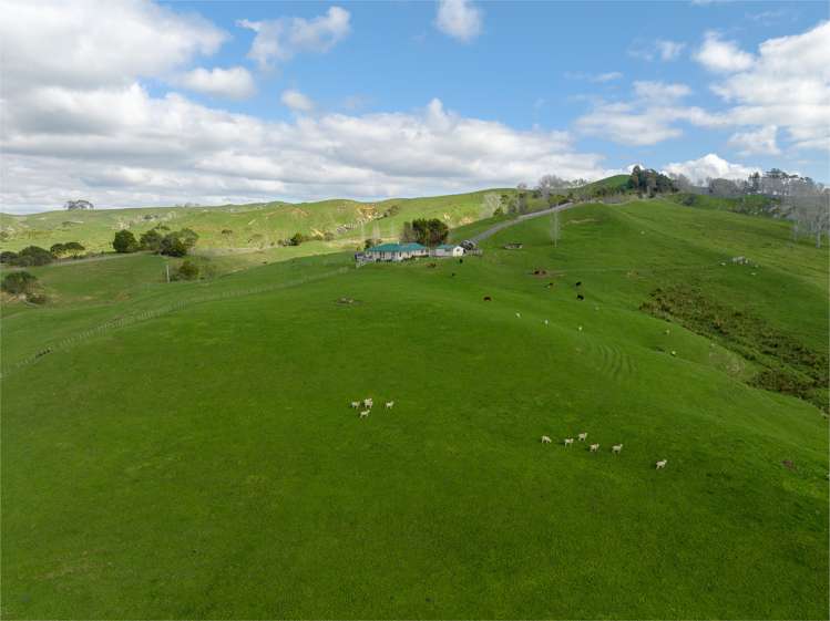 400 Ponganui Road Onewhero_11