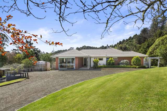 1058 Old Mountain Road Raglan_1