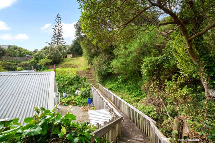 3A Busaco Road Hataitai_9