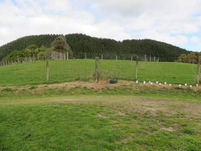 264 State Highway 1 Otaki_4