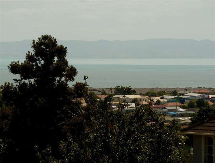 204 Mount Sea Road Thames_24