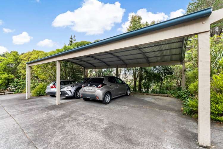 8/53 The Avenue Albany_10