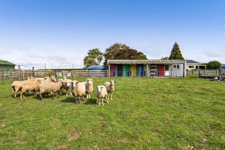 51 Sole Road Ngaere_32