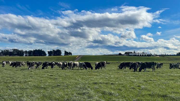 426 Argyle Otahuti Road Waianiwa_17