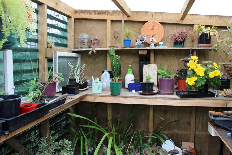 81 Gladstone Road Waihi_15