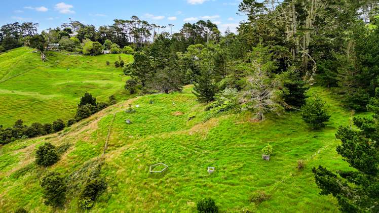 36 Caton Road Waitakere_32