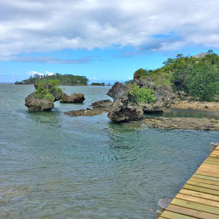 1 Mill Rock Island Savusavu_12