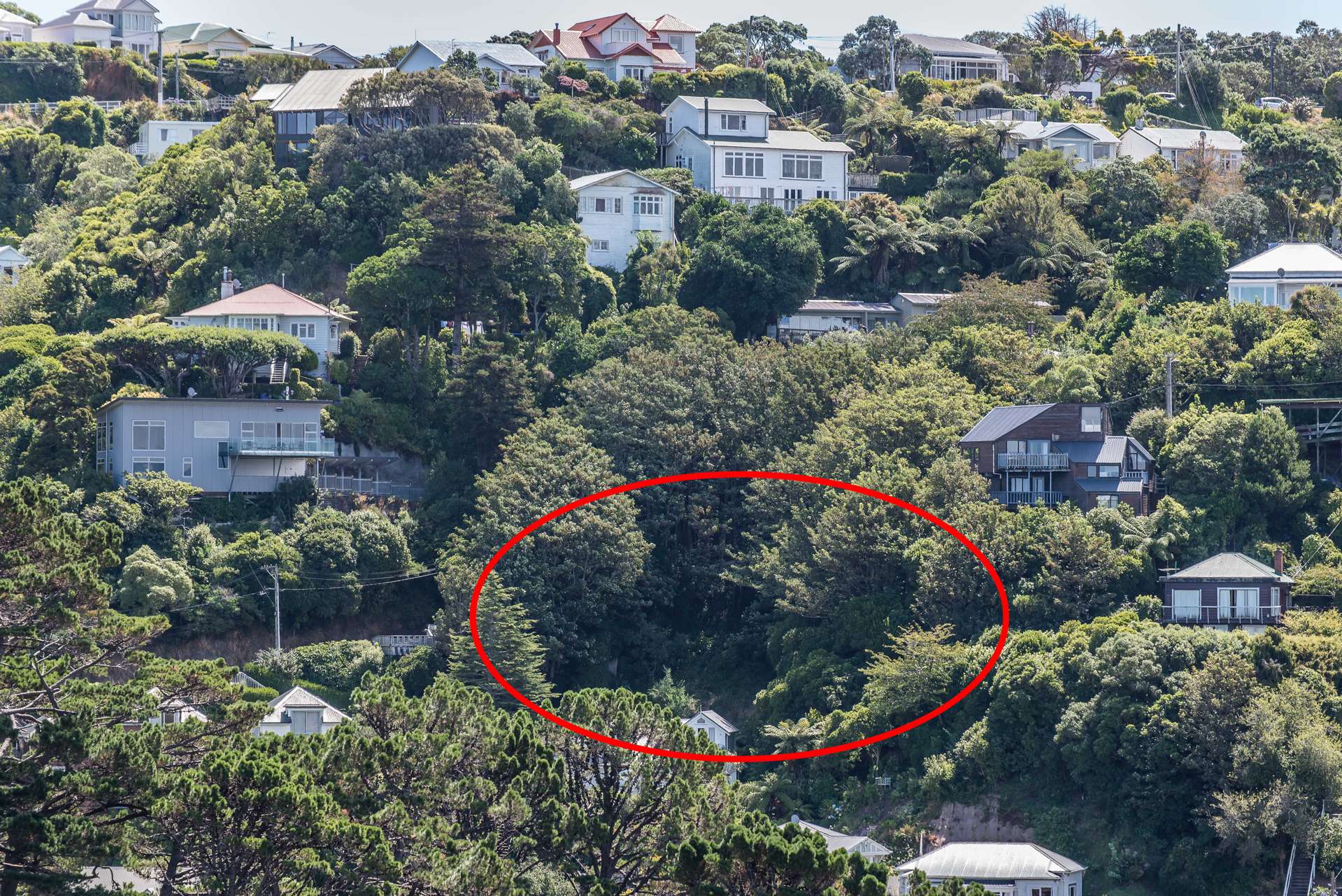 34 Orangi Kaupapa Road Northland_0