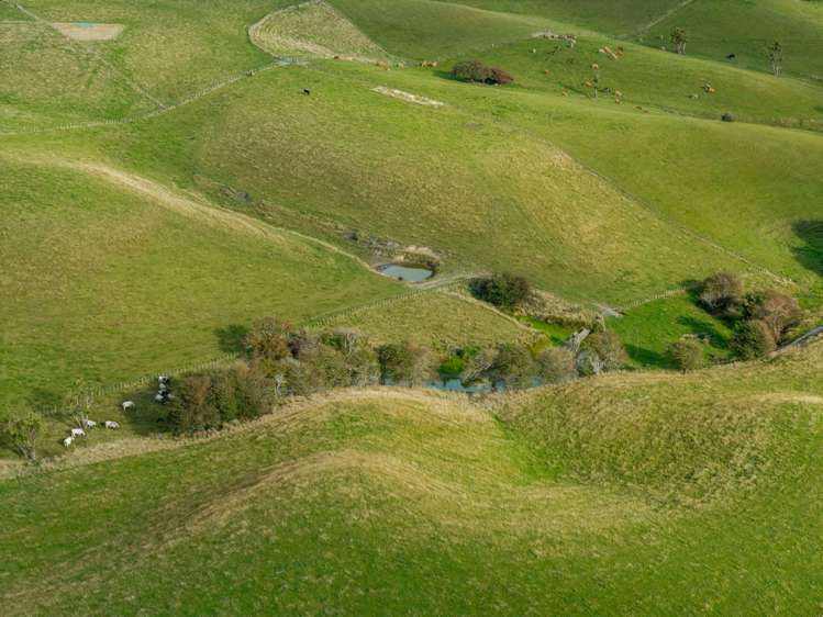 151 Mount Stewart Halcombe Road Sanson_53