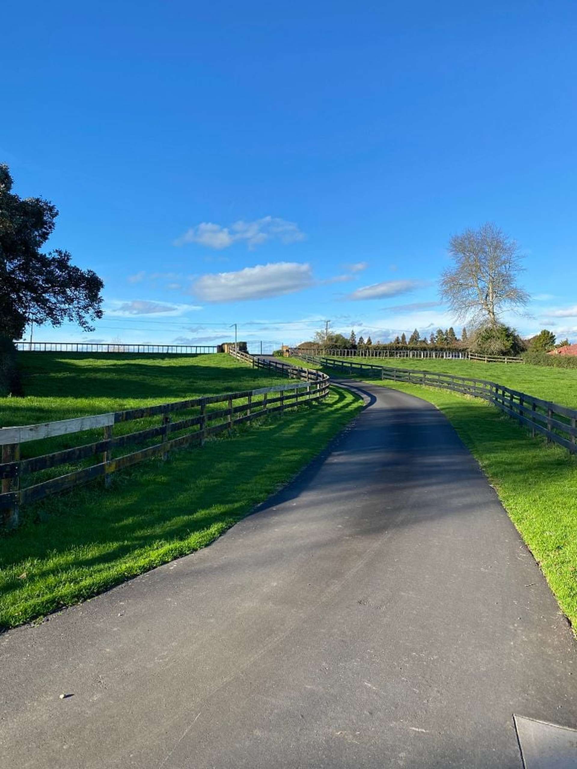 4894 Ohaupo Road Te Awamutu_0