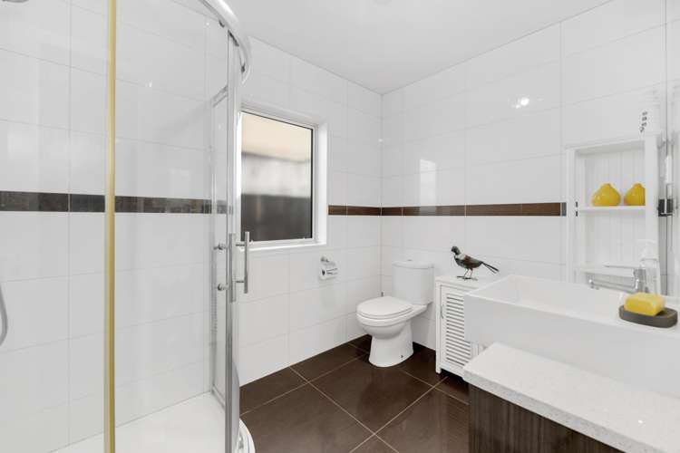 50 Helianthus Avenue Flat Bush_22