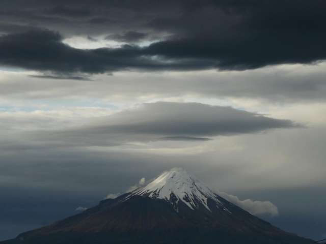 22 Mawhitiwhiti Road Normanby_3