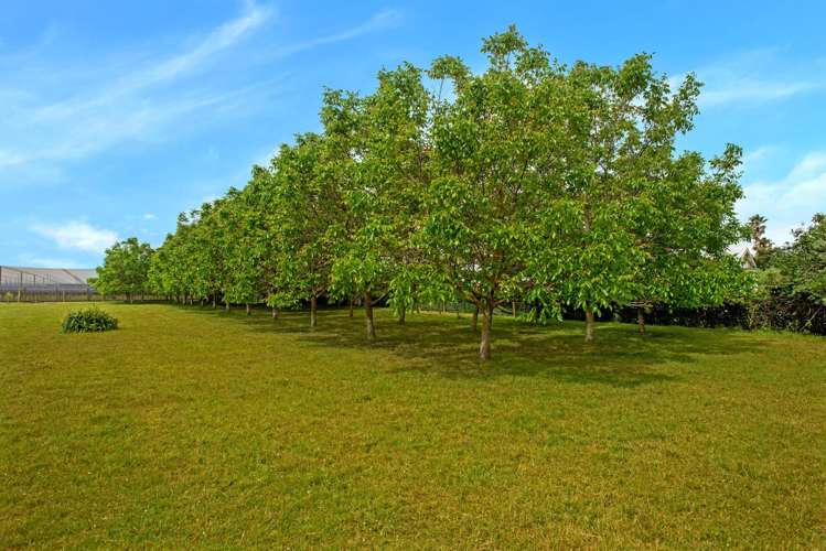 3 River Road Matawhero_2