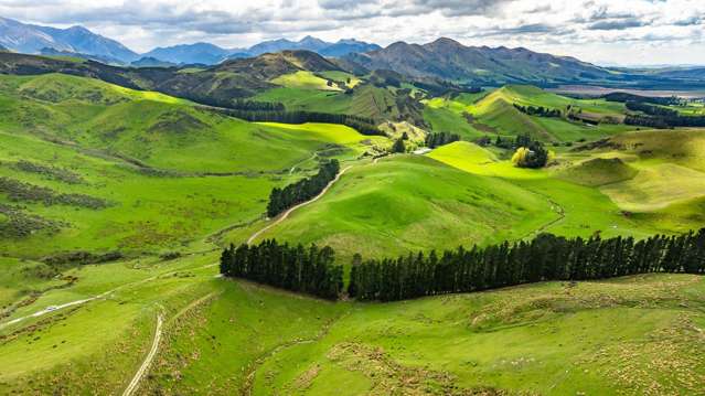 1157 The Peaks Road Hawarden_4