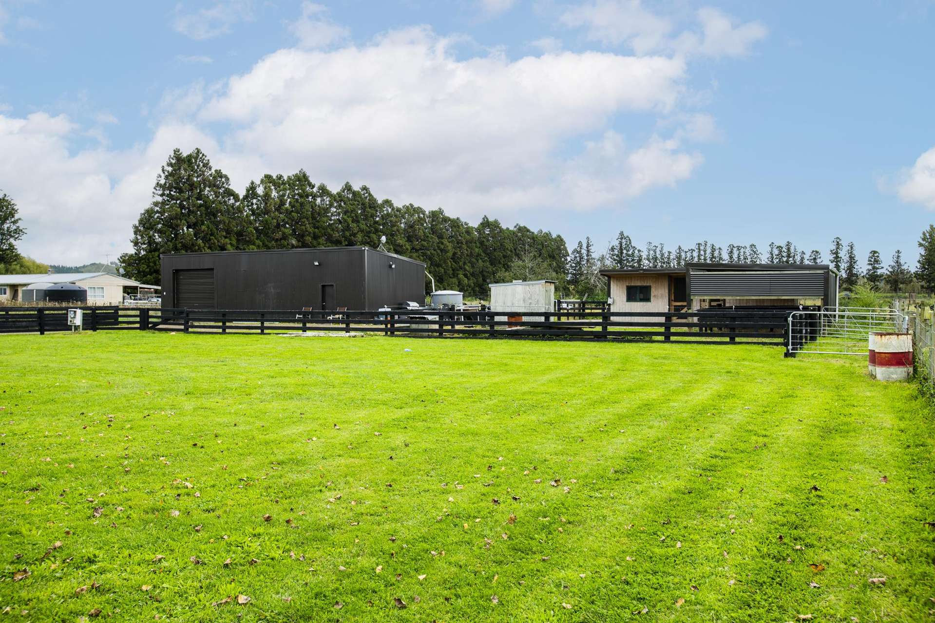 1290 Matawai Road Ormond_0