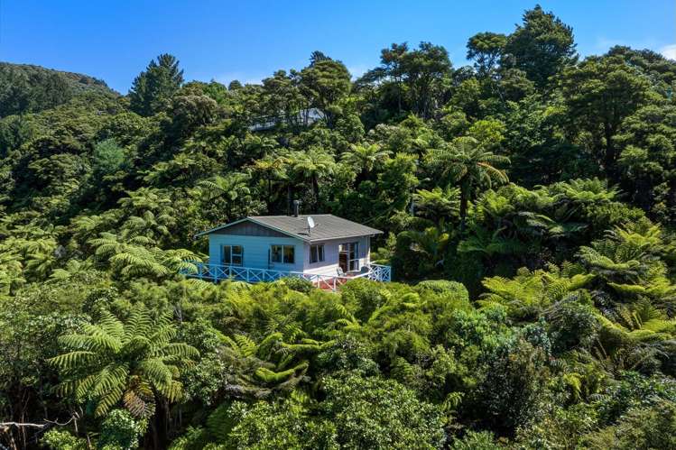 2667 Kenepuru Road Marlborough Sounds_16