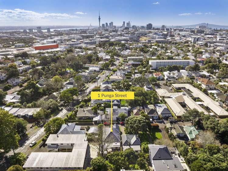 1 Punga Street Mount Eden_25