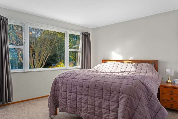 81 College Road Edgecumbe_9