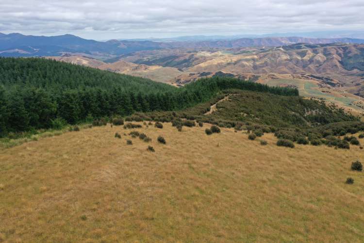 732 Beaumont Highway Clutha_23