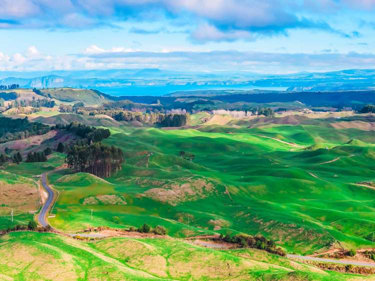 473 Otake Road Marotiri_7