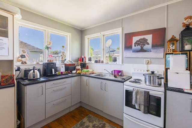 17 Gilray Avenue Maraenui_4