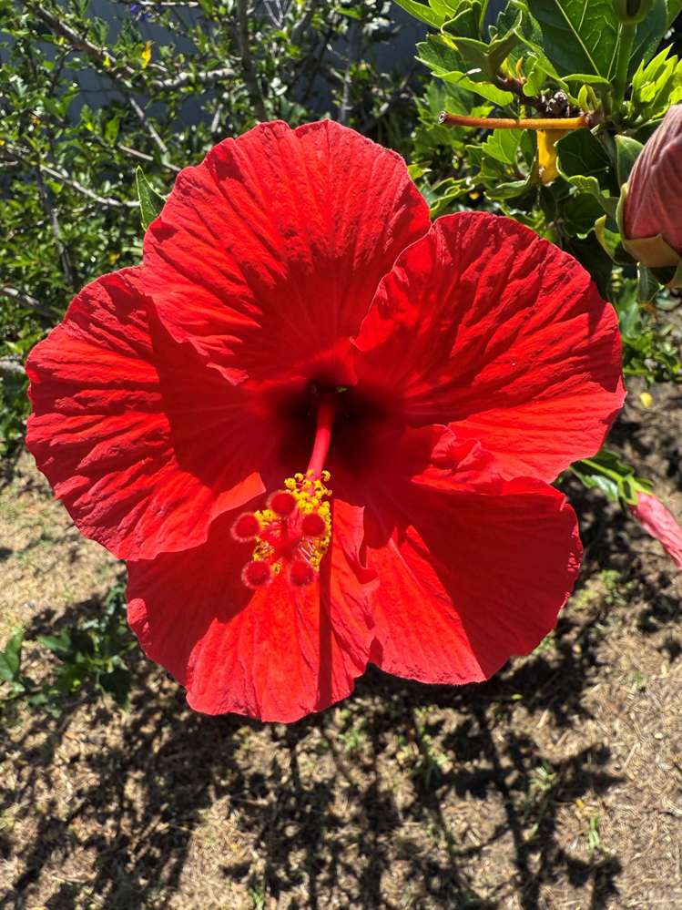 149B Sandhills Road Great Barrier Island_16