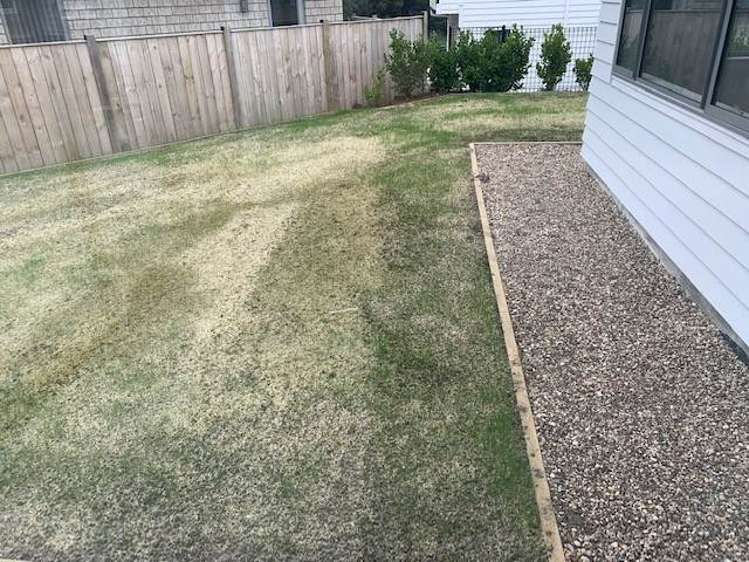 6 Pheasant Close Stanmore Bay_7