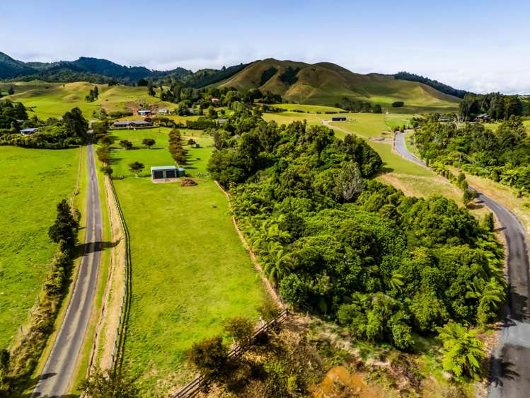 Weld Road Upper Oakura_9