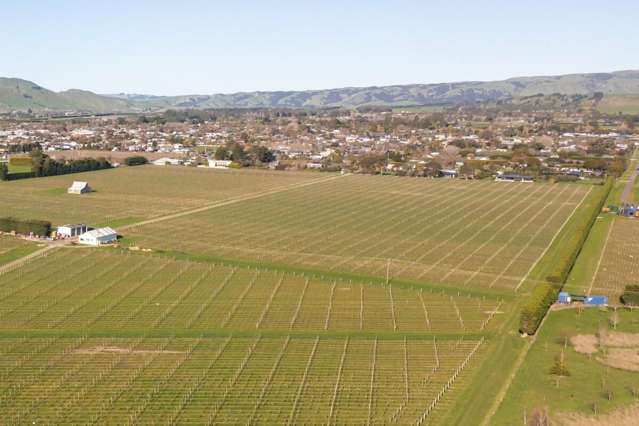 Lifestyle Vineyard Lots &ndash; Rare Opportunity
