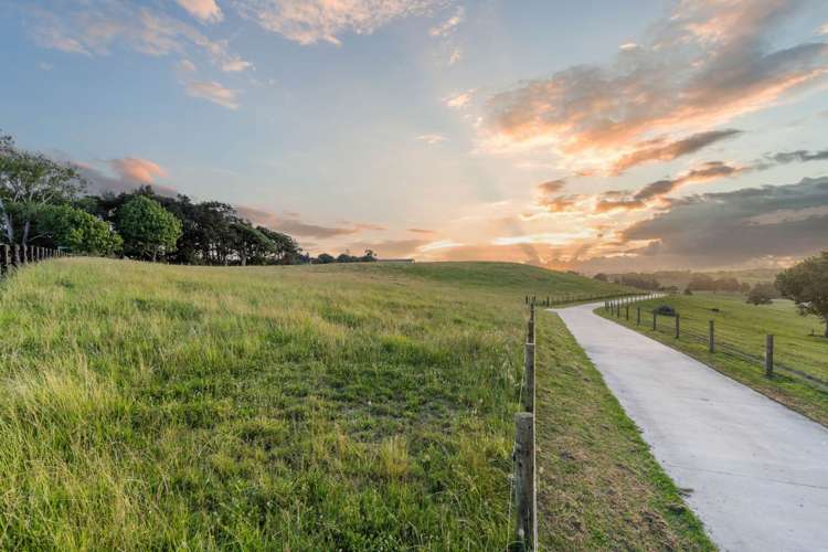 66 Bush Road Paerata_6