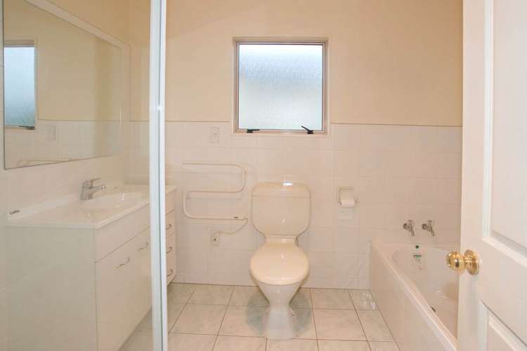 17e Cradock Street Avondale_13