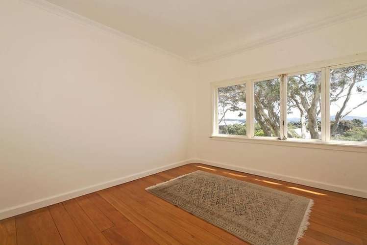 12 Mahoe Street Eastbourne_4