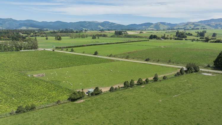 Tait Road Geraldine_14