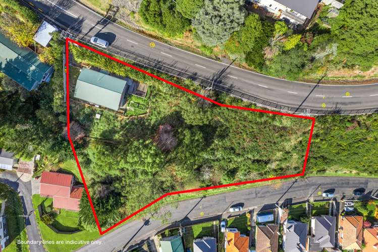 521 North Road Normanby_24