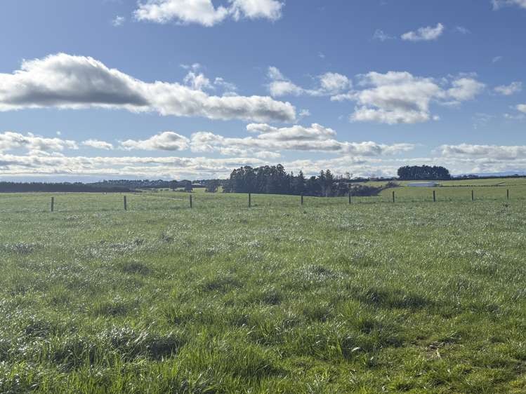 169 Hamilton Road Isla Bank_5