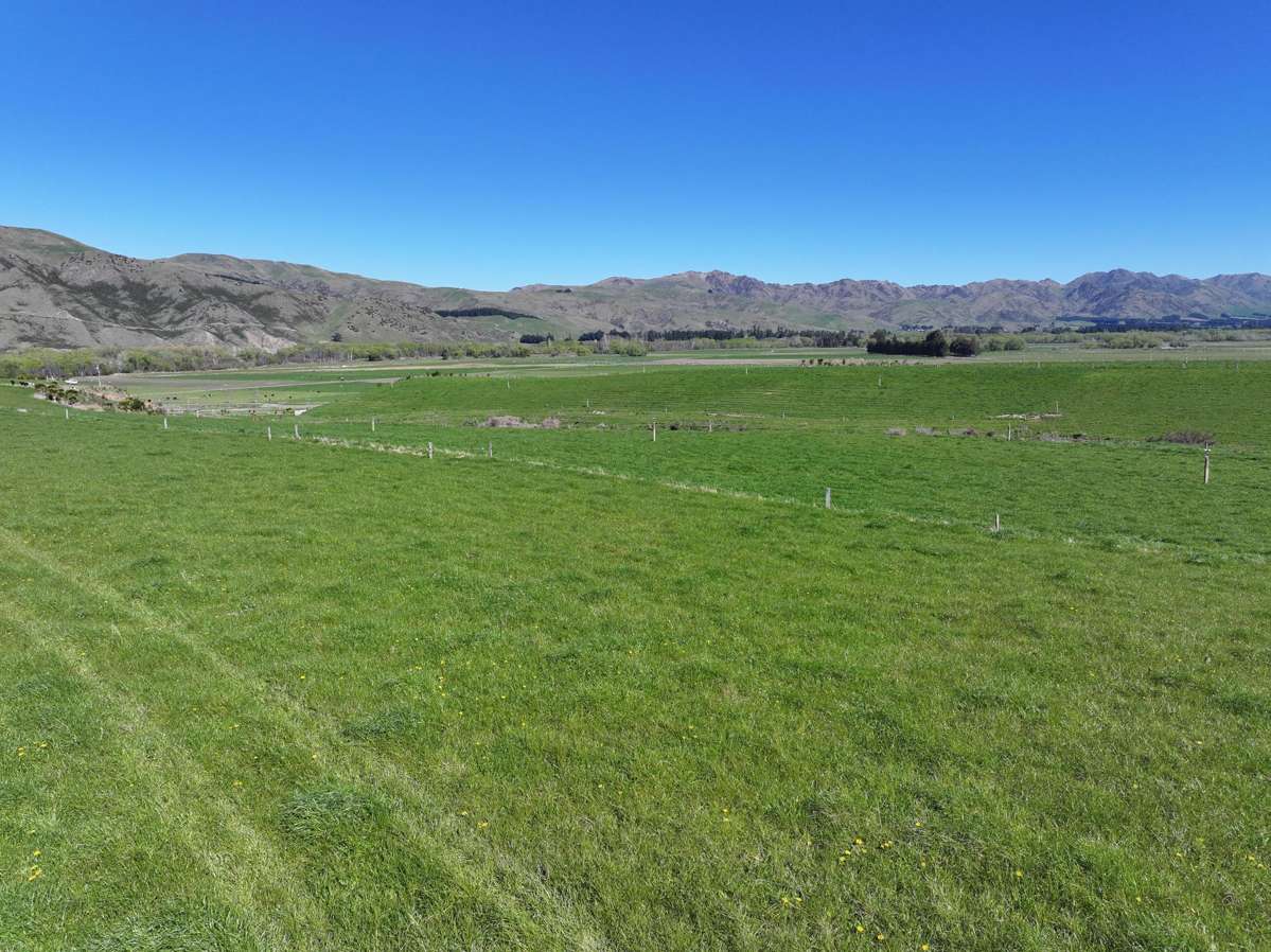 593 Lower Flat Road_2