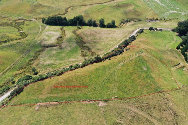 Tararua Road Pahiatua_22