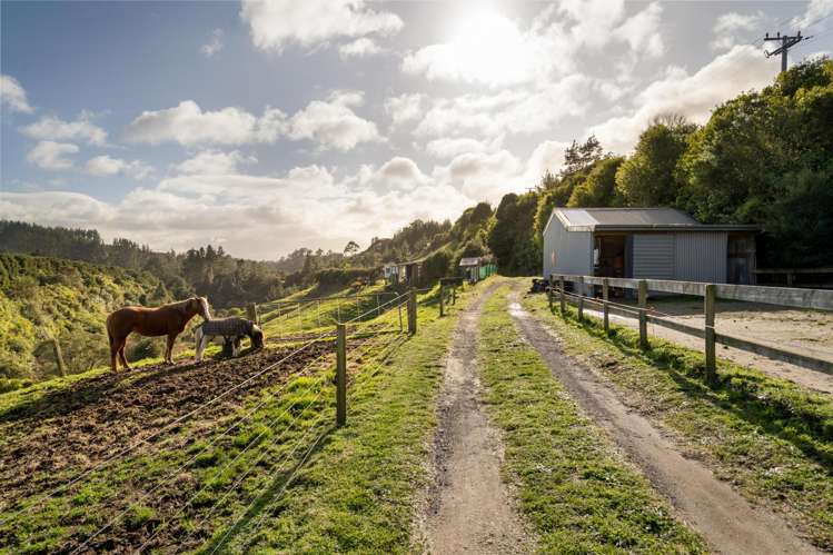 666 Maungarangi Road Paengaroa_18