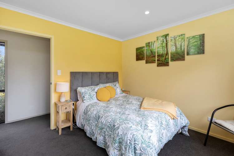 1039e Work Road Whakamarama_16