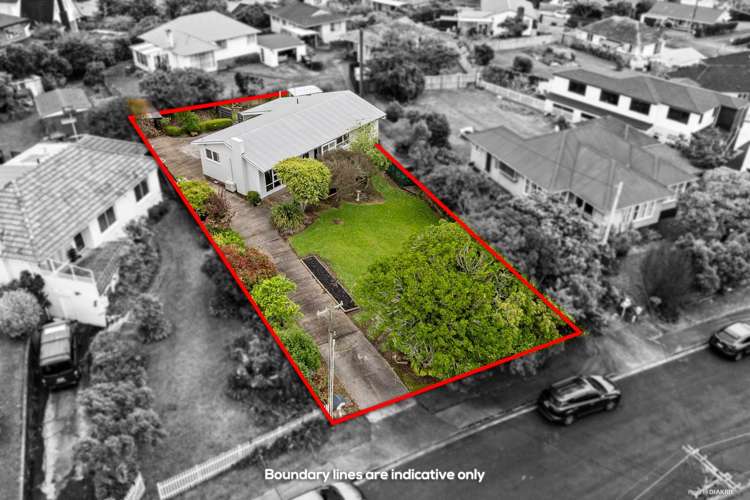 34 Boyce Avenue Mount Roskill_7