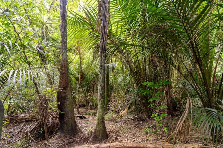 62 Lamb Road Parua Bay_5