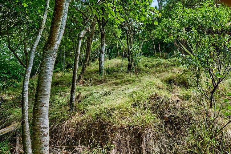 6e Reuben Avenue Brooklyn_0