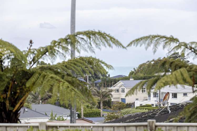 56 Crownhill Street_5