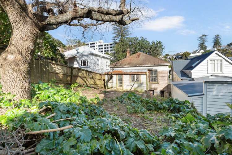 7 Alberon Street Parnell_7