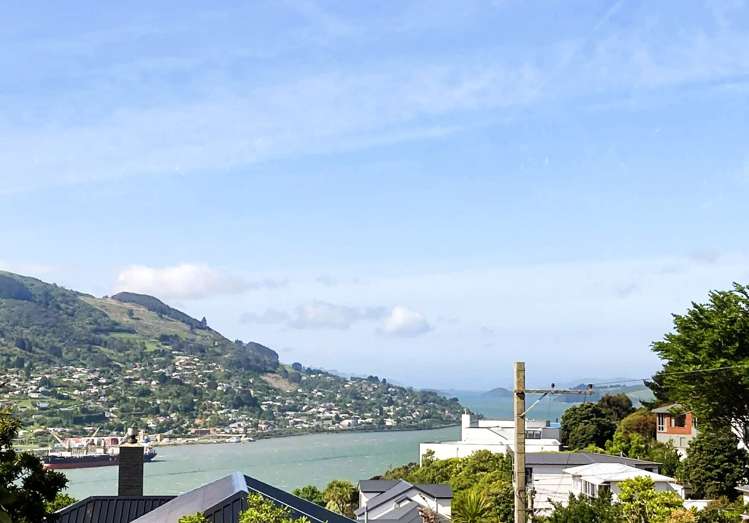 9 Dunrobin Street Waverley_2